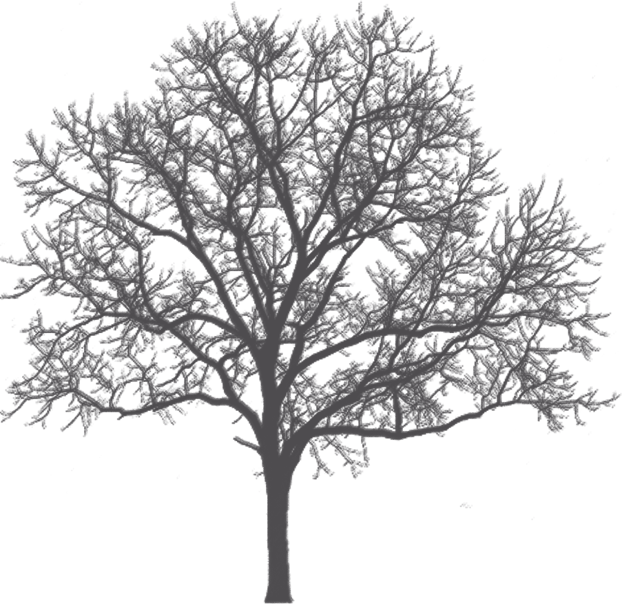 花城控股集團(tuán) 花城控股集團(tuán)