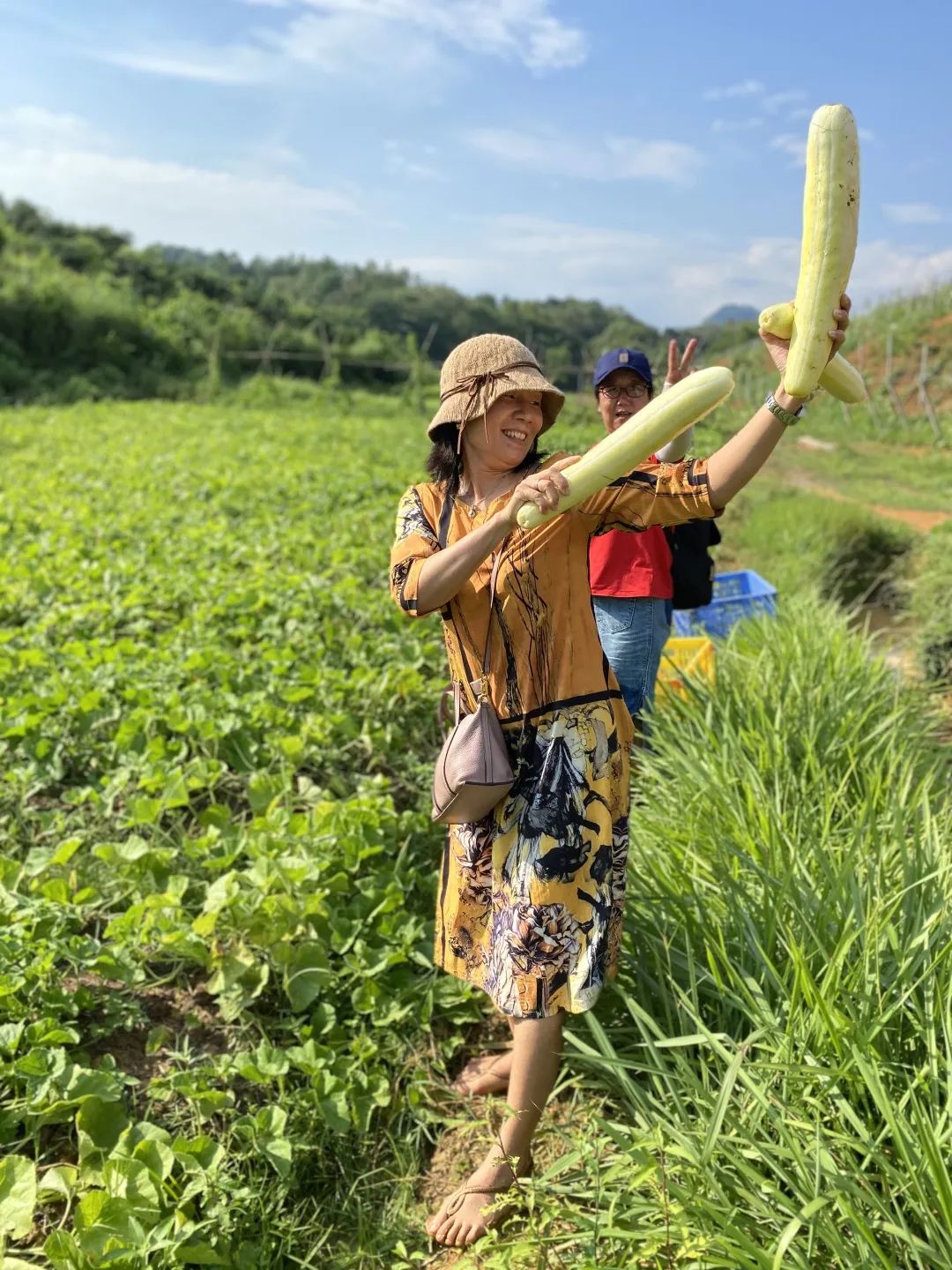 花城控股集團(tuán) 花城控股集團(tuán)