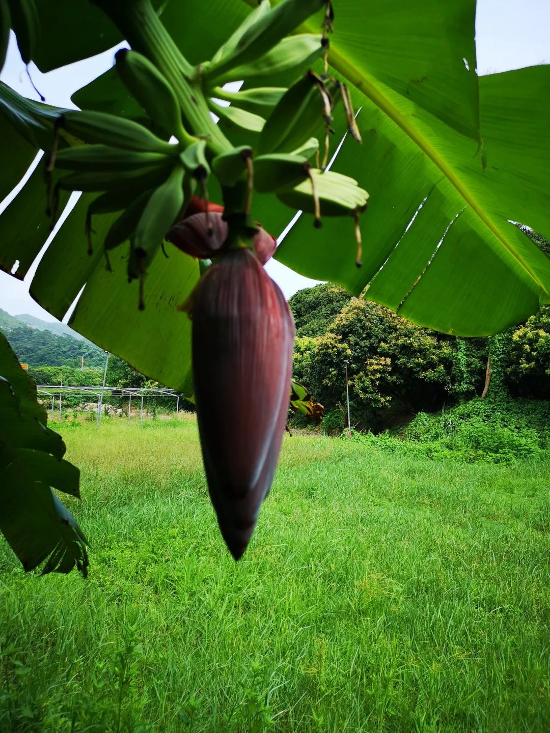 花城控股集團(tuán) 花城控股集團(tuán)