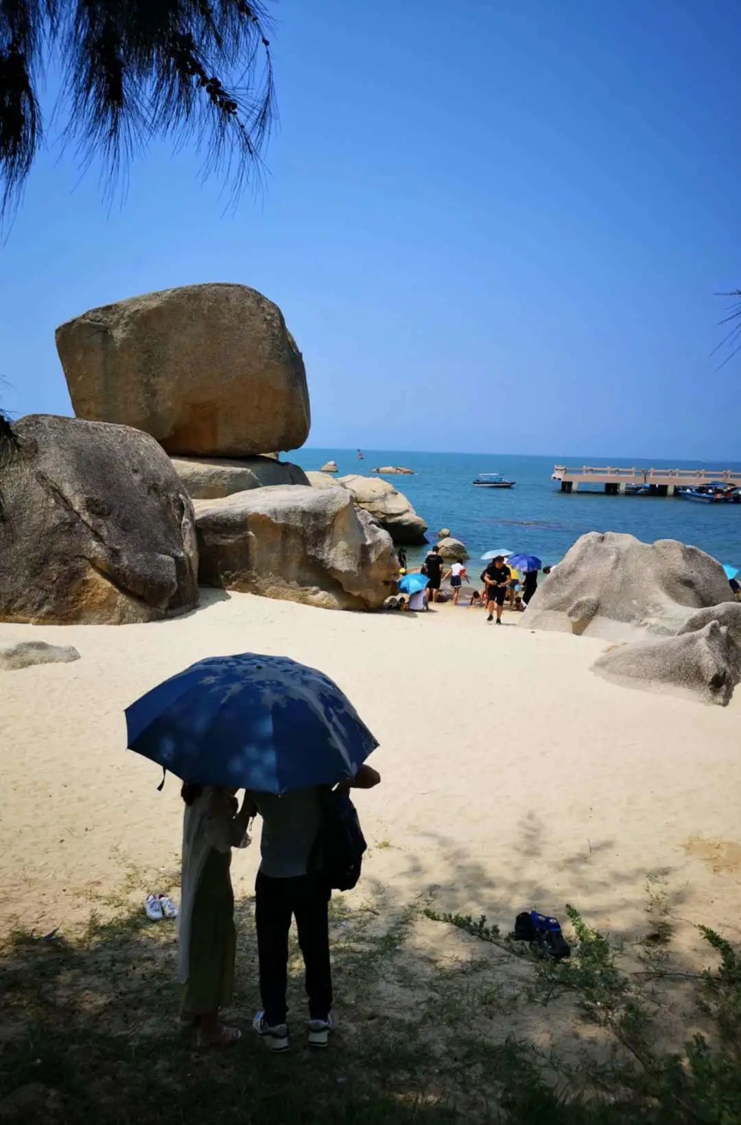 花城控股集團(tuán) 花城控股集團(tuán)