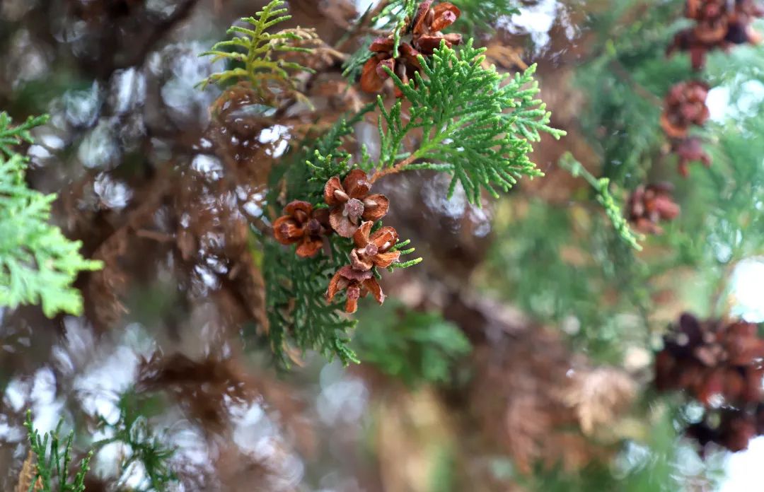 花城控股集團(tuán)