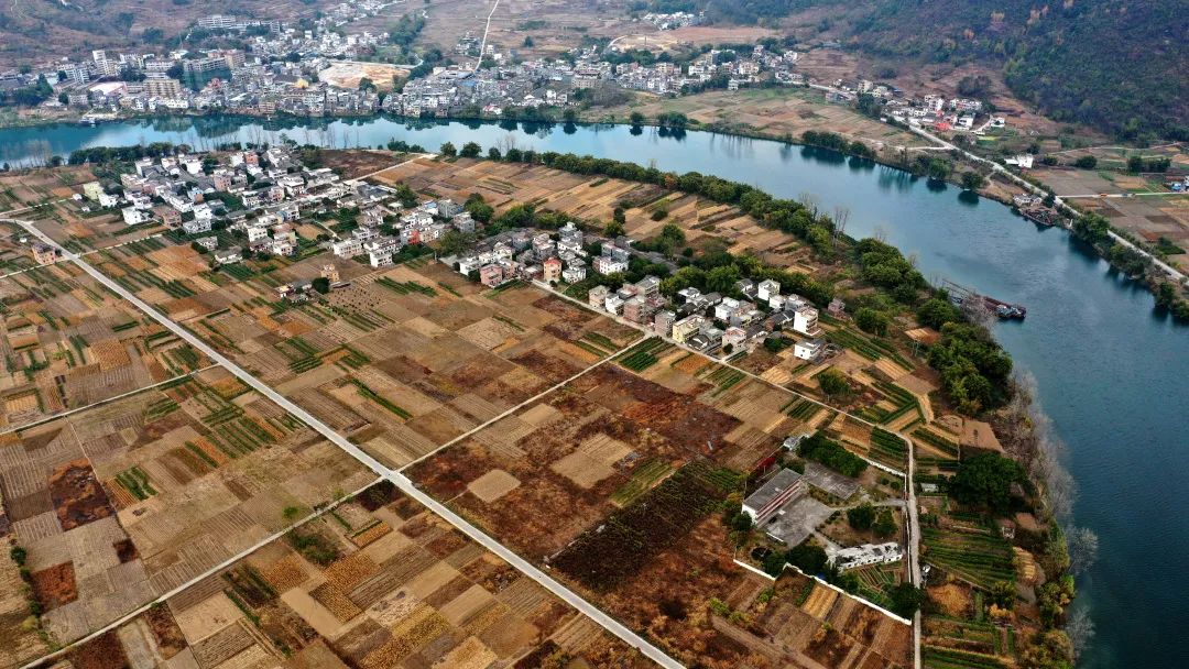 花城控股集團 花城控股集團