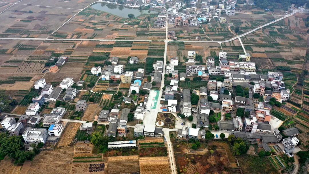 花城控股集團 花城控股集團