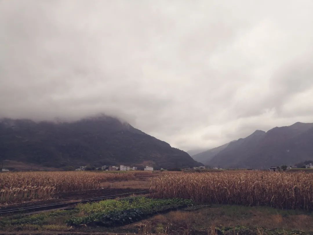 花城控股集團 花城控股集團