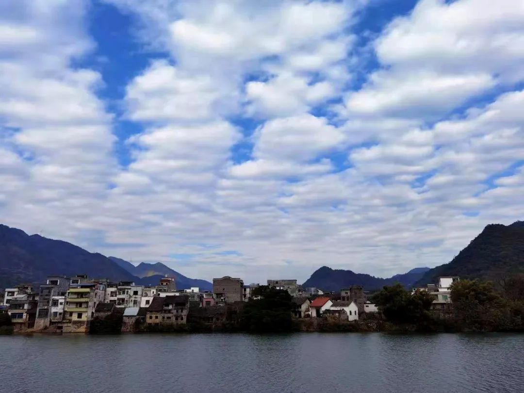 花城控股集團 花城控股集團