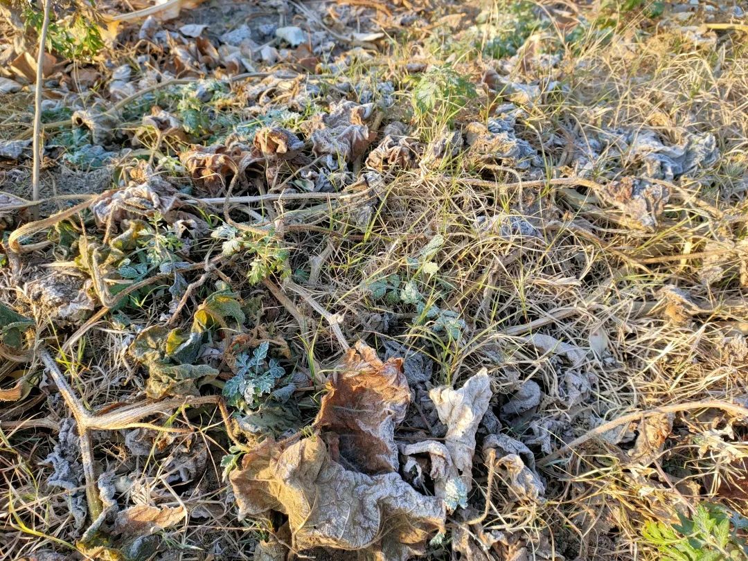 花城控股集團 花城控股集團