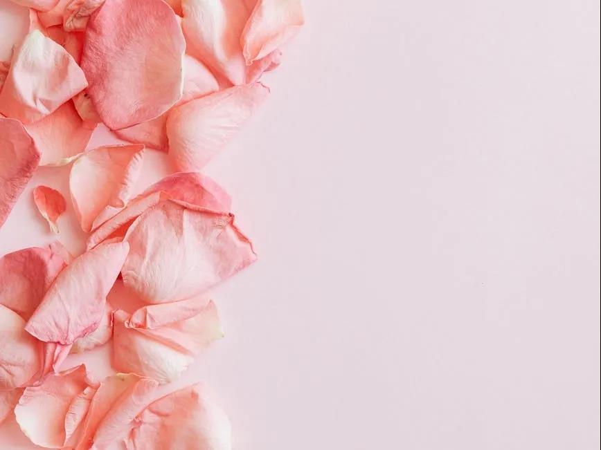 不好意思，本次培訓(xùn)班只限乘風(fēng)破浪的姐姐參與